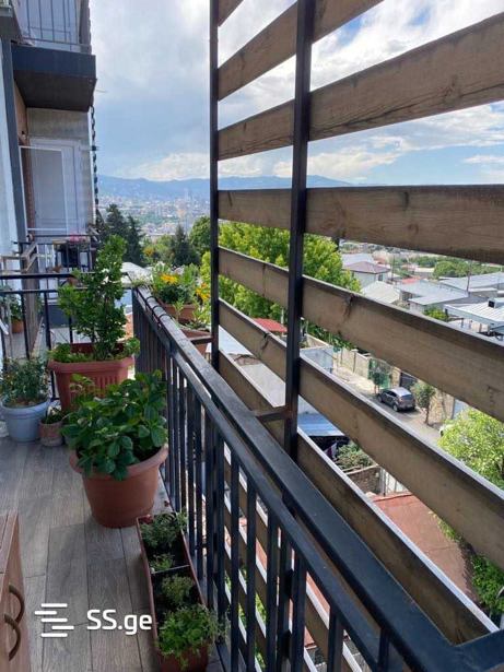 https://static.ss.ge/20260215/10_363f9b21-00b0-4066-9ced-19210d0b48ad_Thumb.jpg