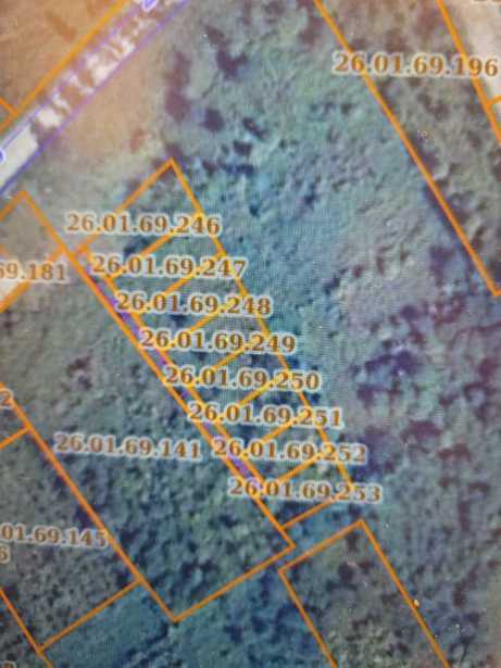 Land For Sale. Kvemo Natanebi