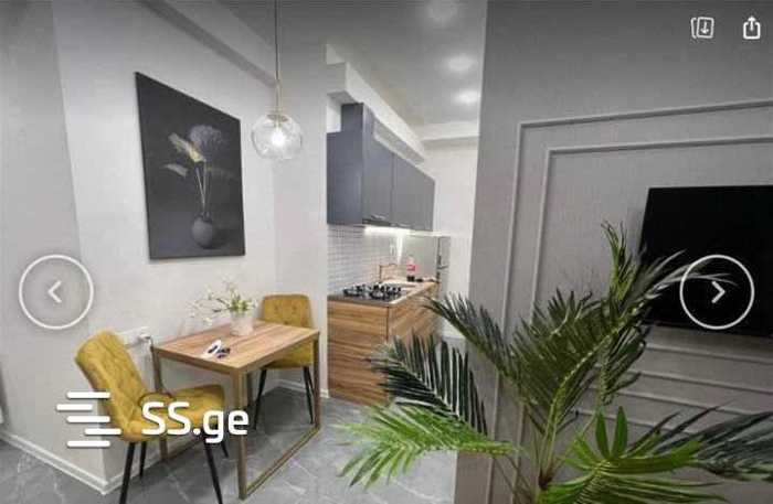 https://static.ss.ge/20260215/18_1bf45994-c9a3-4d0c-a7b5-1e9f8385fb81_Thumb.jpg