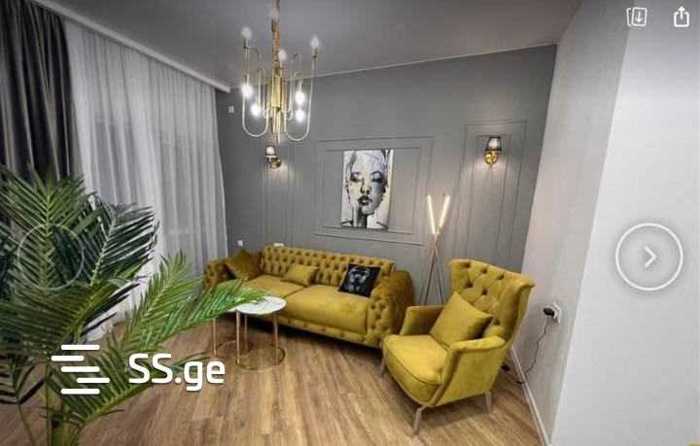 https://static.ss.ge/20260215/19_1fb880b9-a48b-47f8-a654-5cf1fc257d5f_Thumb.jpg