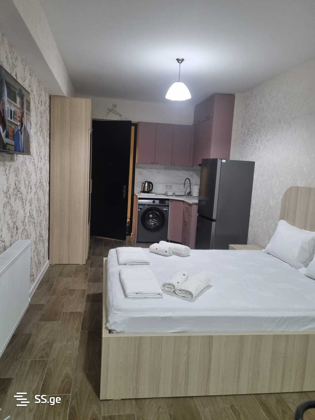 1 Room Flat Daily Rent. Borjomi view 10