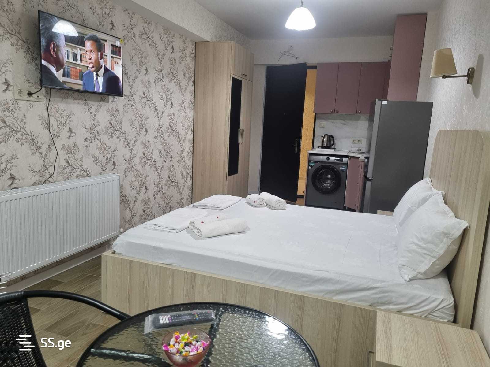 1 Room Flat Daily Rent. Borjomi view 7