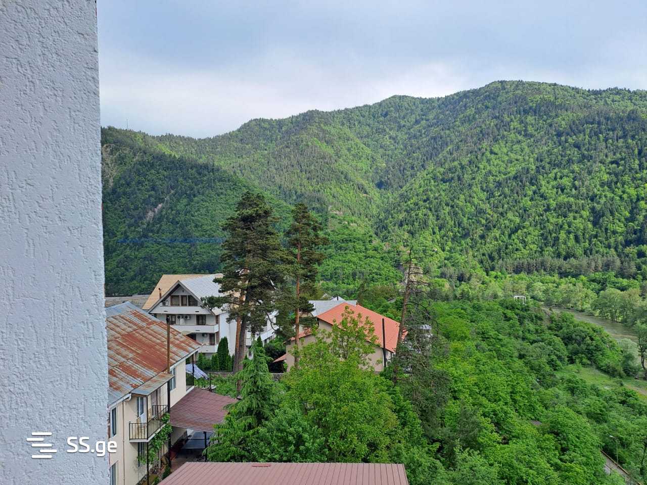 1 Room Flat Daily Rent. Borjomi view 12