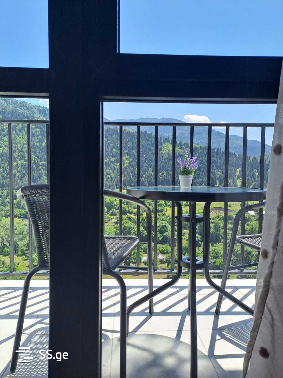 1 Room Flat Daily Rent. Borjomi view 1