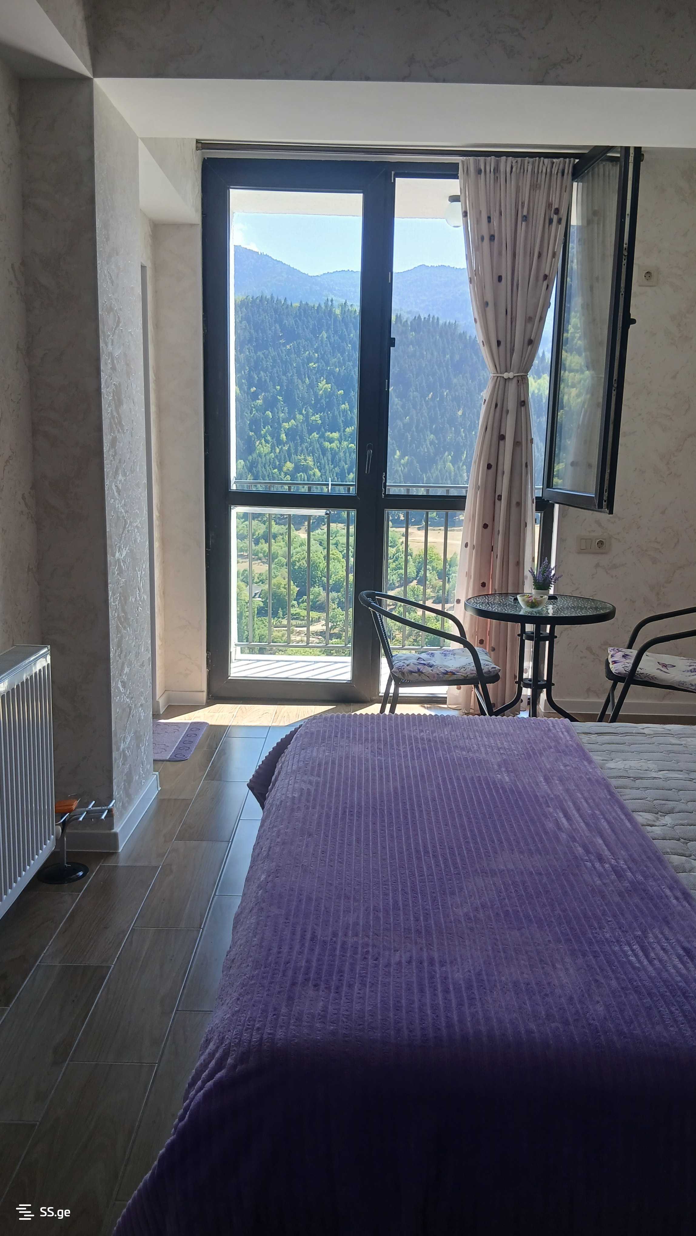 1 Room Flat Daily Rent. Borjomi view 14