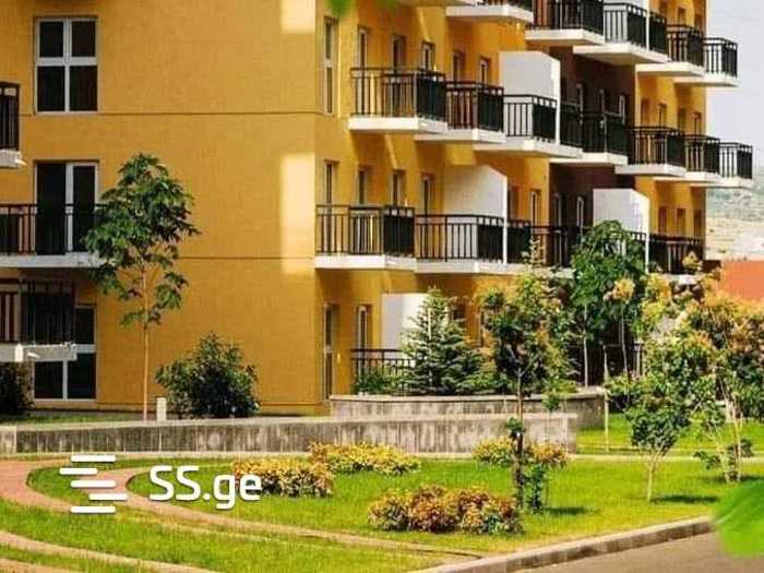 https://static.ss.ge/20260216/0_6fe66232-d26c-4b43-a174-b9f254d1f8be_Thumb.jpg