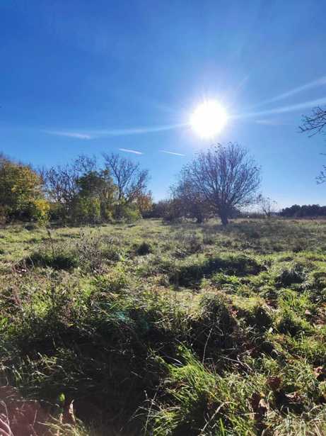 Land For Sale. Akhalsopeli