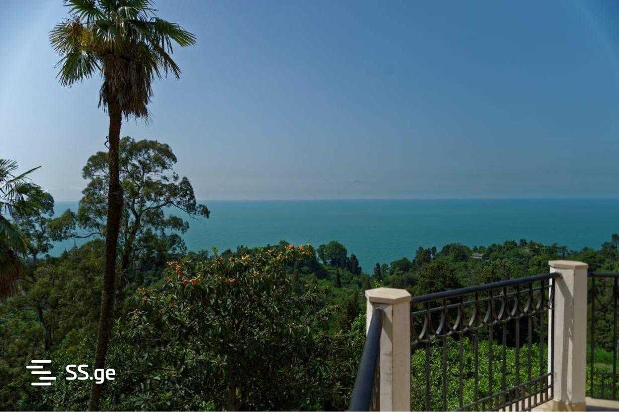 Private House For Sale. Tsikhisdziri view 5