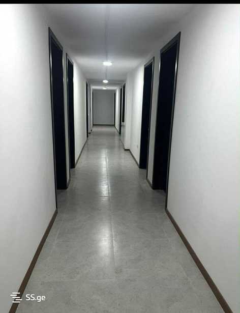 https://static.ss.ge/20260216/10_f09a9d9f-e0fd-4786-9e24-510582089bac_Thumb.jpg