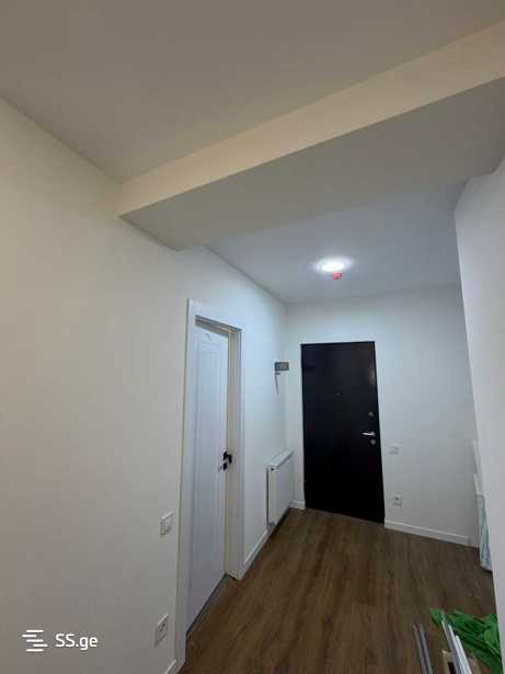 https://static.ss.ge/20260216/13_e7ea29d5-aba9-4c3a-bc84-ad8275bf2a28_Thumb.jpg