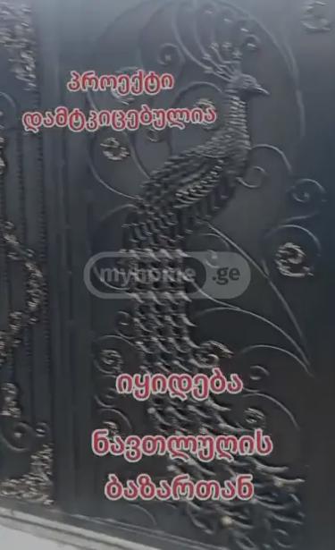https://static.ss.ge/20260216/16_884e769d-c71f-4716-af94-d1949f760b23_Thumb.jpg