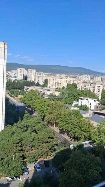 https://static.ss.ge/20260216/16_bf109b66-d493-4fb0-b896-a6a55655492e_Thumb.jpg
