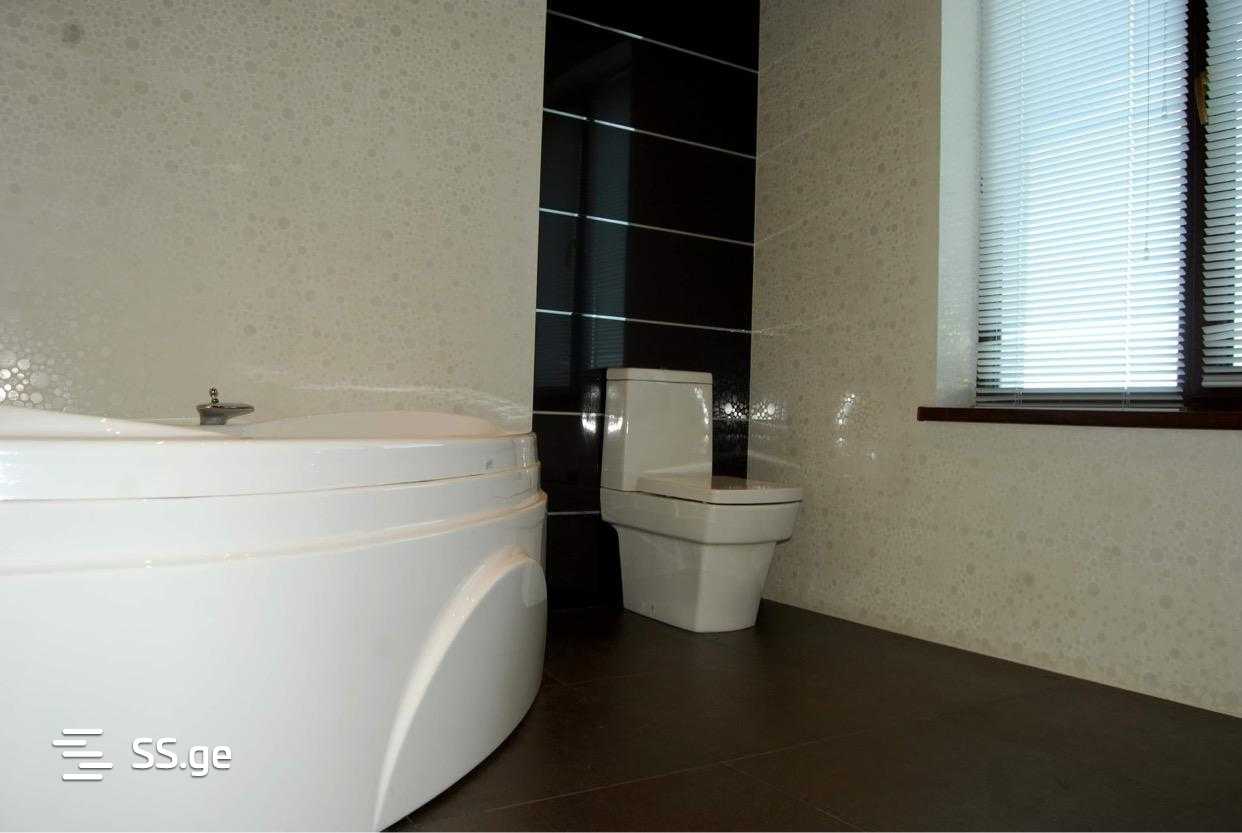 Private House For Sale. Tsikhisdziri view 7