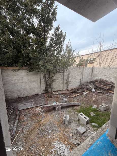 https://static.ss.ge/20260216/19_c5421930-1c9b-4daa-a121-68e55b311363_Thumb.jpg