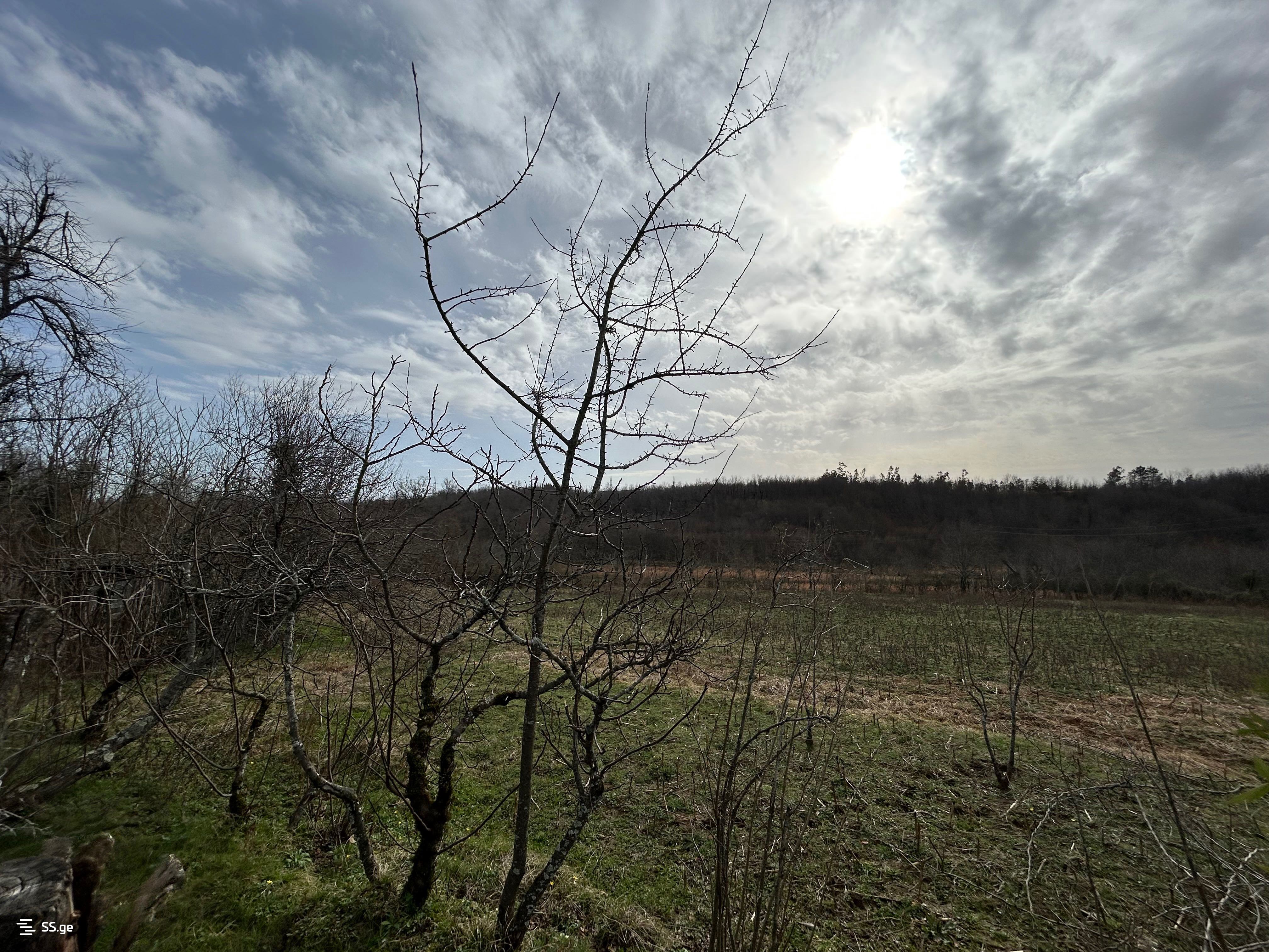Land For Sale. Tskaltubo view 3