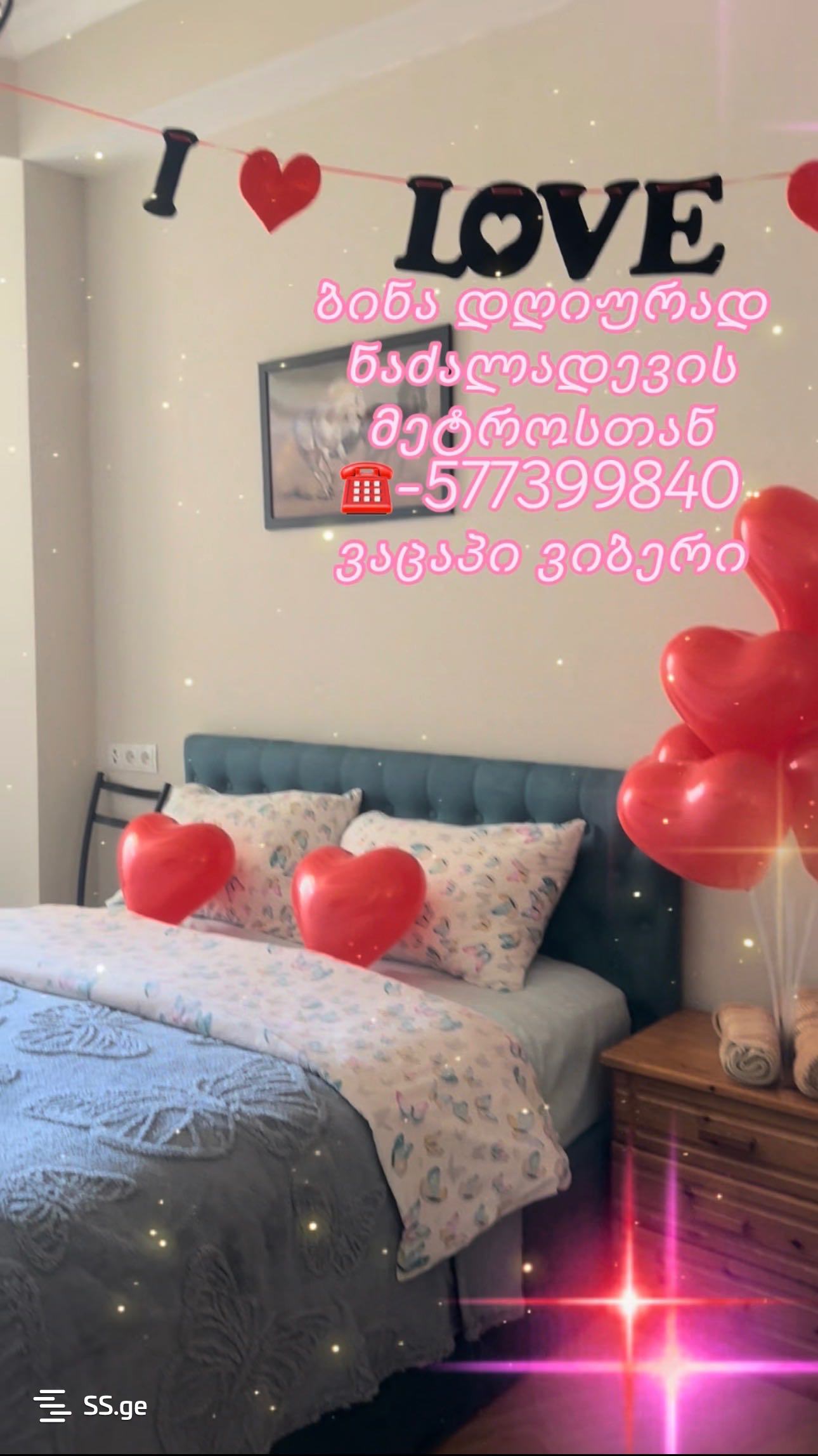 1 Room Flat Daily Rent. Nadzaladevi, 12 of 12