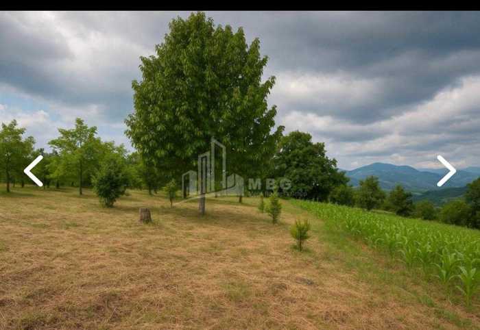 Land For Sale. Lamiskana