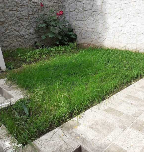 https://static.ss.ge/20260217/19_45de02c4-6759-4bd5-8d63-e17bac224bbc_Thumb.jpg