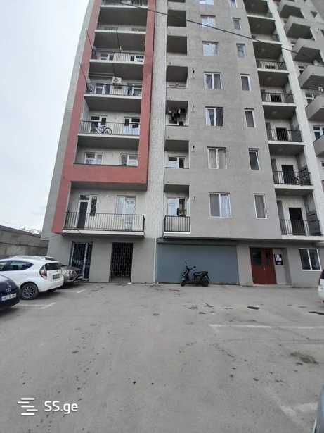 https://static.ss.ge/20260217/19_ec86e15c-8195-4539-899e-075419b30e87_Thumb.jpg