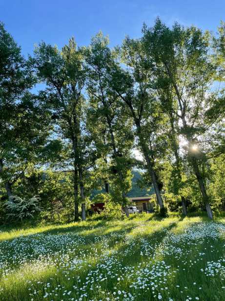 Land For Sale. Navazi