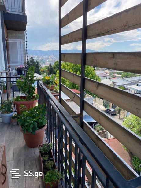 https://static.ss.ge/20260218/14_63e3c74c-6326-4663-ad6b-7c7ceab415aa_Thumb.jpg