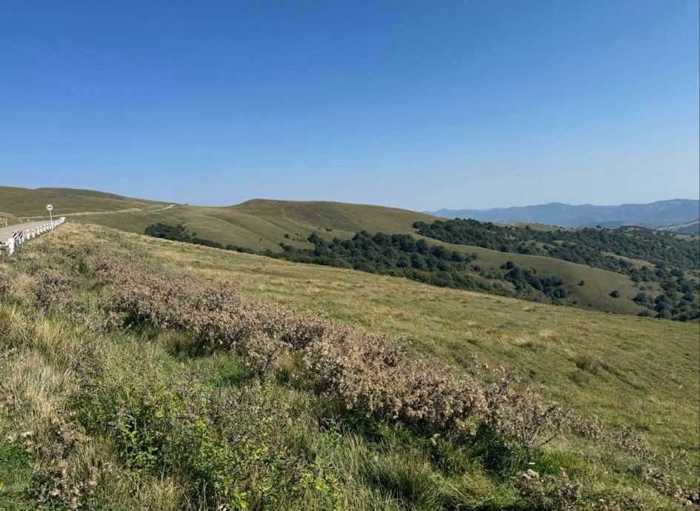 Land For Sale. Orbeti