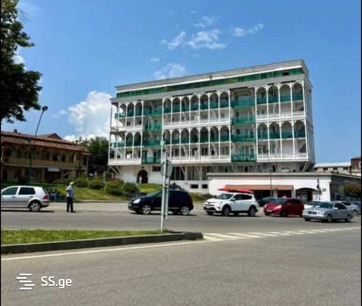 3 Room Flat For Rent. Telavi view 3