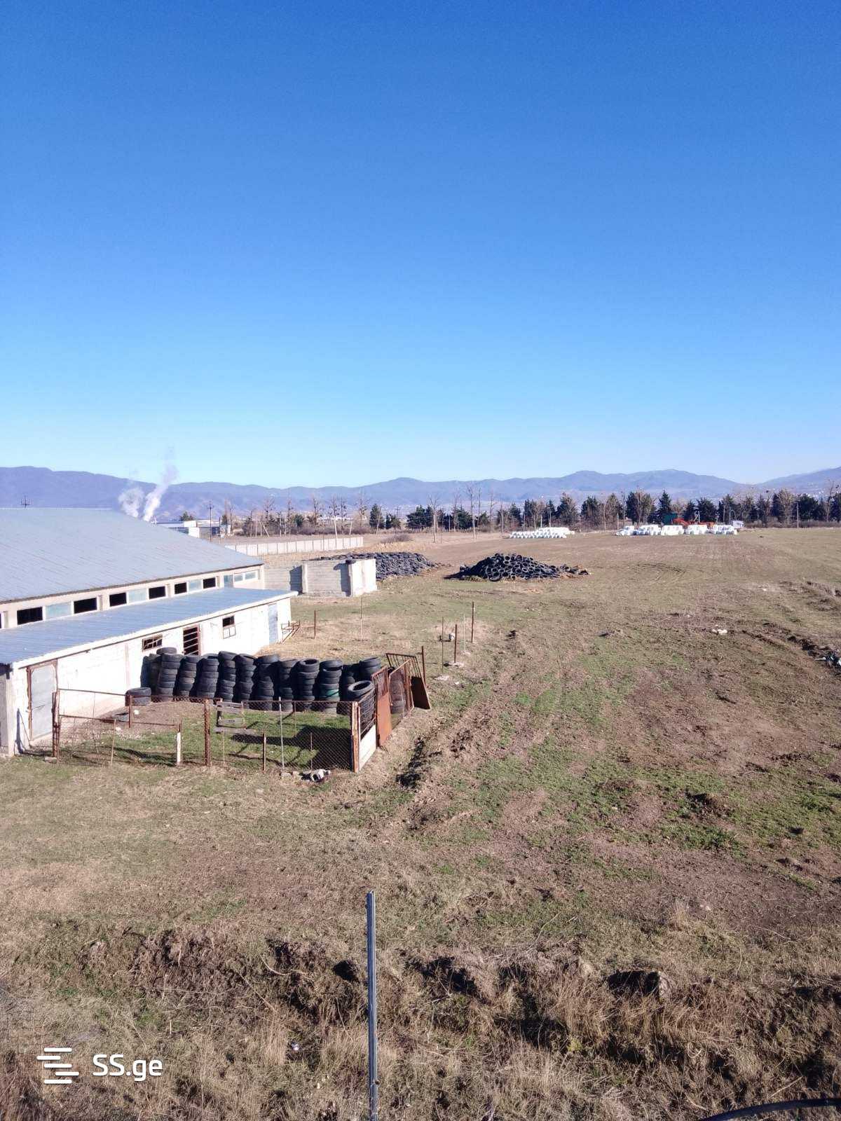 Продажа Commercial Space в церовани view 12