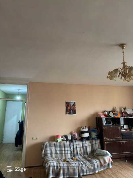 https://static.ss.ge/20260218/7_ef16f092-5b6e-433e-a685-3d0bdb286fb0_Thumb.jpg