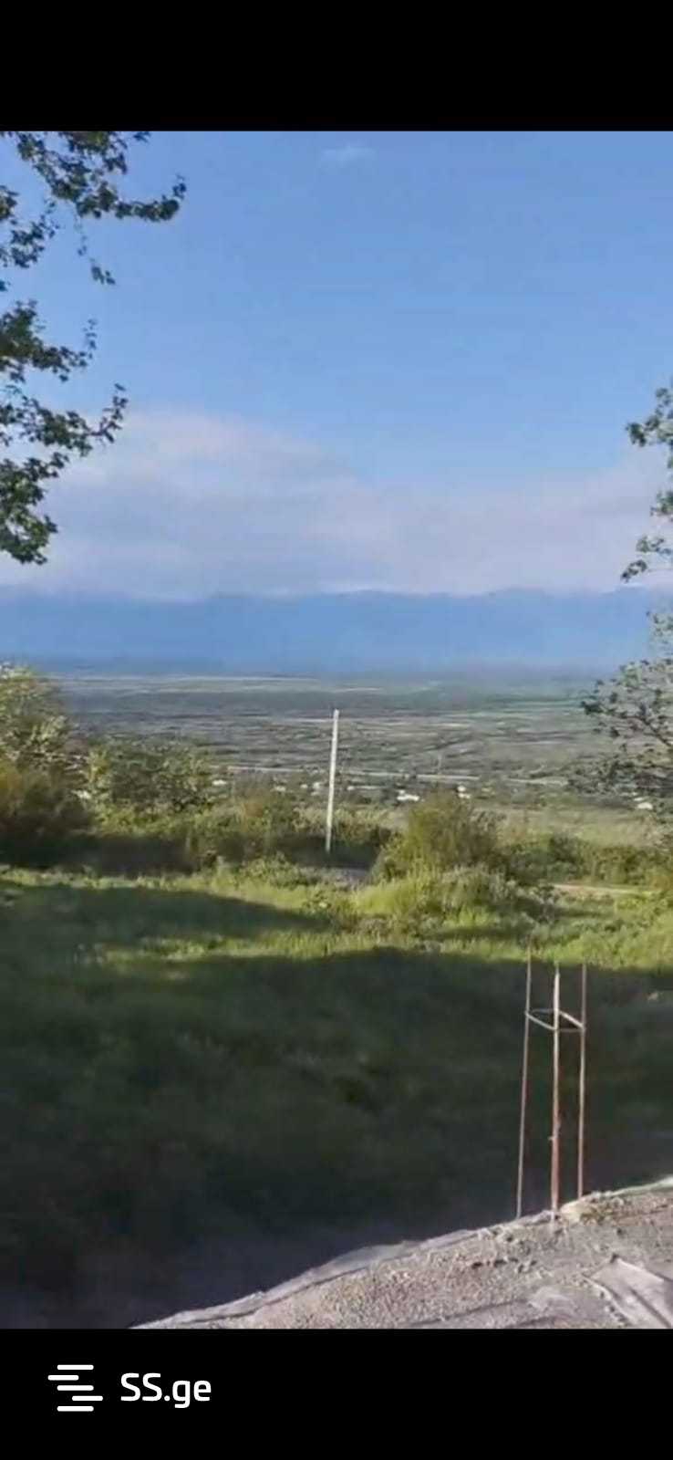 იყიდება მიწა სიგნაგიში view 2