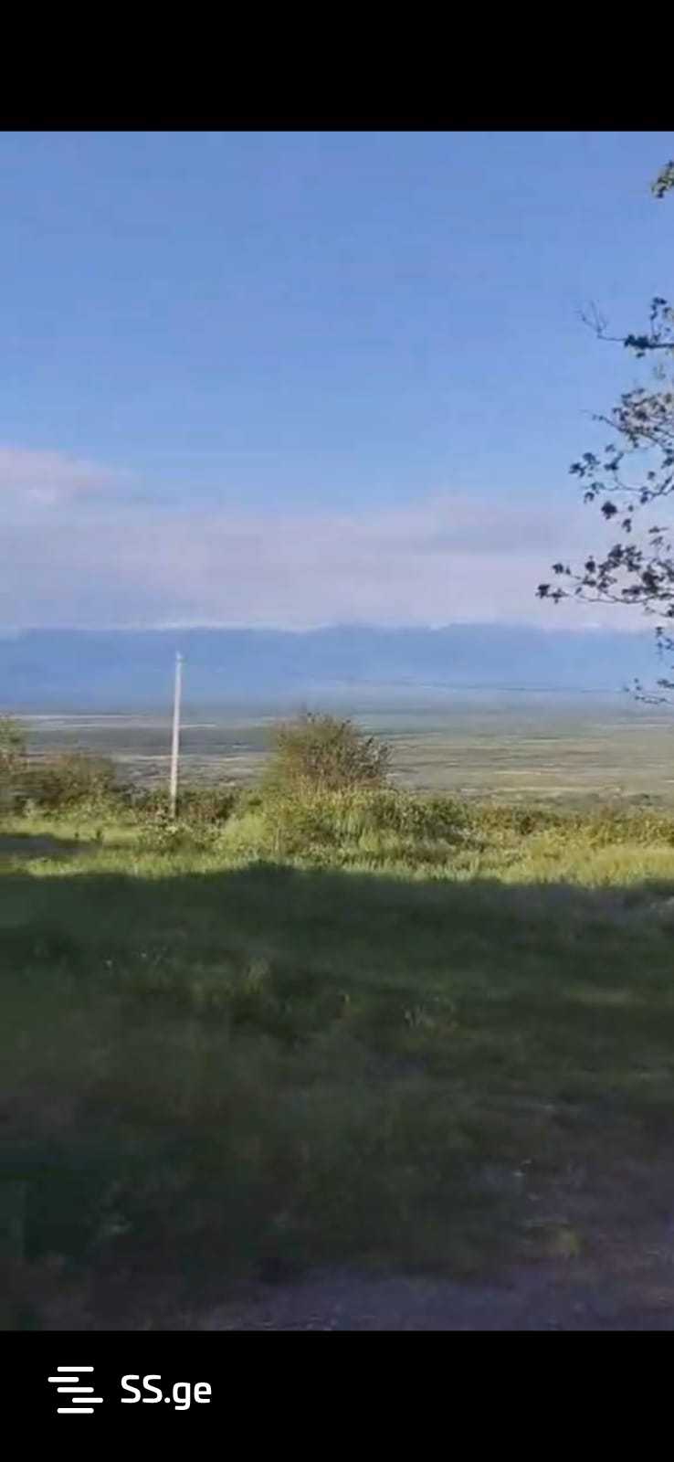 იყიდება მიწა სიგნაგიში view 1