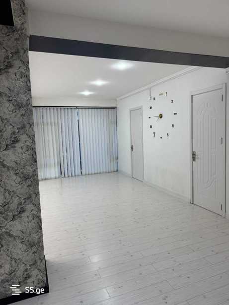 https://static.ss.ge/20260219/10_9149673f-c5c0-4e59-9518-aa7c5d61aa51_Thumb.jpg