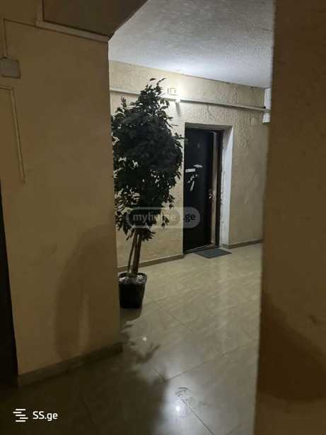 https://static.ss.ge/20260219/18_aac9ac73-8855-4df4-b289-2aa6dbb76781_Thumb.jpg