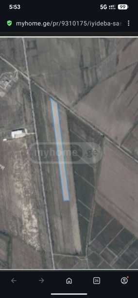 https://static.ss.ge/20260219/19_dd969565-b81e-42ef-984a-b1f35ba4b3ae_Thumb.jpg