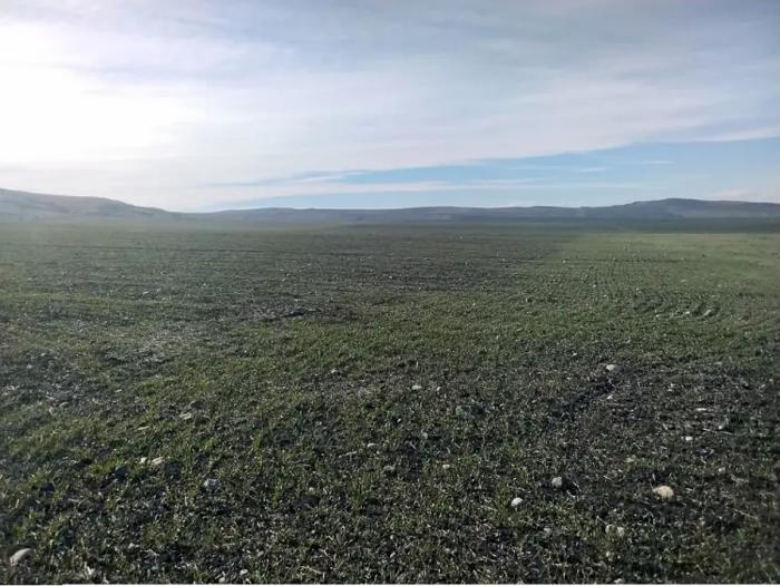 Land For Sale. Dedoplistskaro