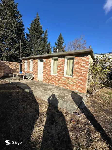 https://static.ss.ge/20260220/10_f25bb227-8e61-4f60-9055-27446643df7d_Thumb.jpg