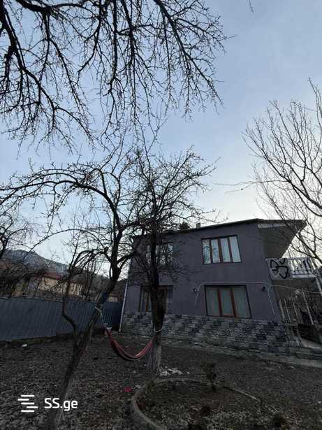 https://static.ss.ge/20260220/12_60809a65-0cee-4aaf-954e-36cfdda6c31e_Thumb.jpg