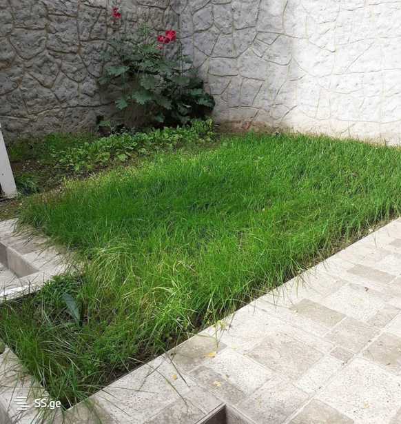 https://static.ss.ge/20260220/12_9960a6ee-b7e5-41ca-a3d2-7352193e846e_Thumb.jpg
