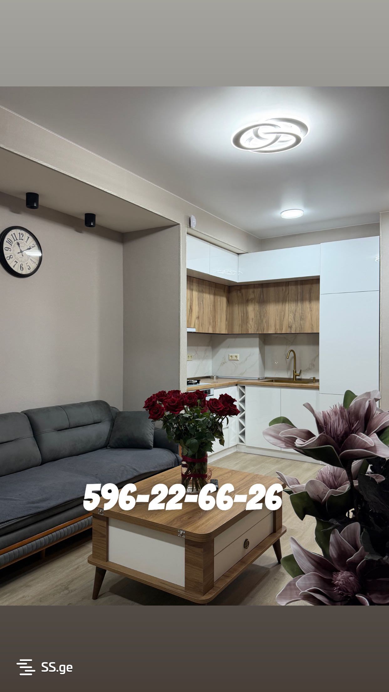 2 Room Flat Daily Rent. Samgori view 5