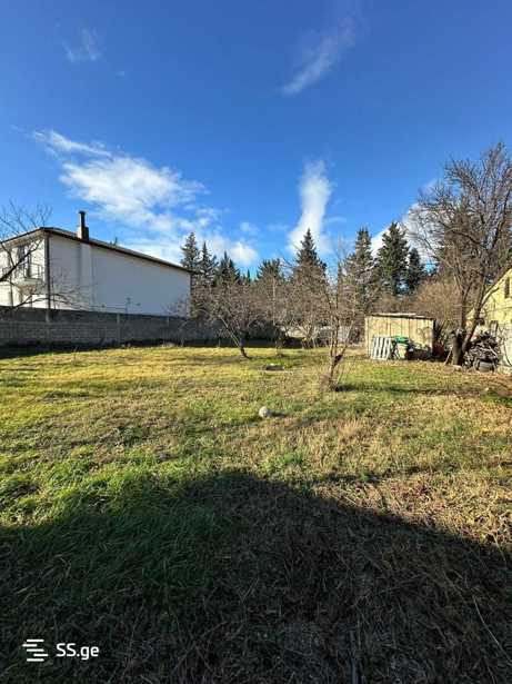 https://static.ss.ge/20260220/14_dd5a4c24-1155-4998-90f5-df10aa7c3c7c_Thumb.jpg