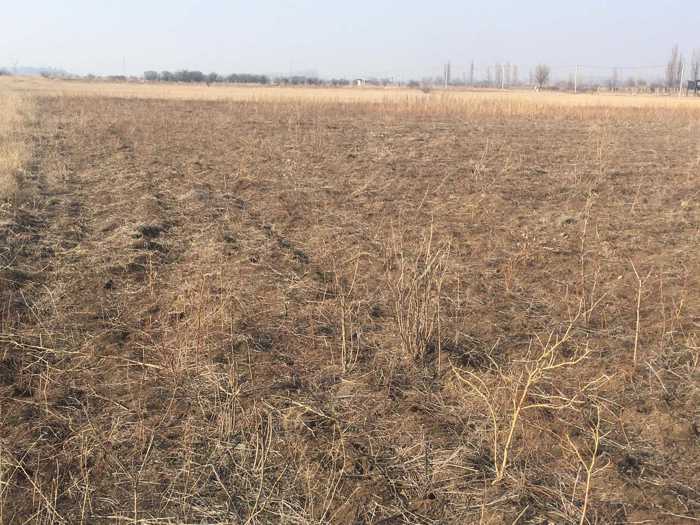 Land For Sale. Chardakhi