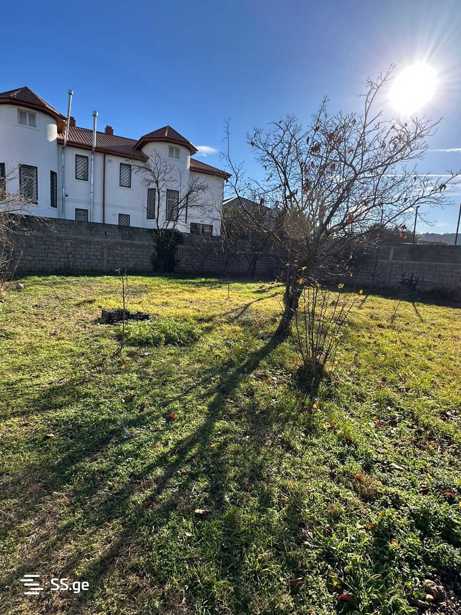 https://static.ss.ge/20260220/3_f74d4e61-8dc3-4e23-ae41-c900bda9f263_Thumb.jpg