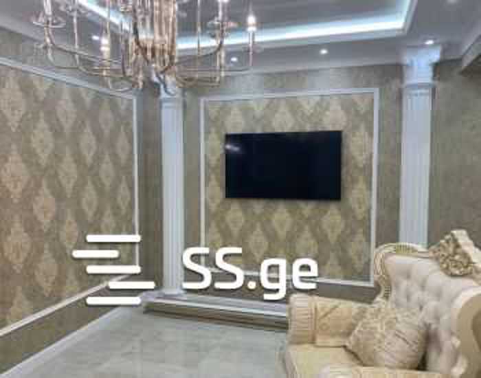 https://static.ss.ge/20260220/4_7c1969de-1e95-4f9c-89e3-4e6f79cd7165_Thumb.jpg