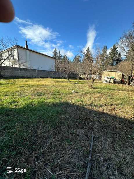 https://static.ss.ge/20260220/6_27317a47-75bc-4f97-96d0-d13c914712c5_Thumb.jpg