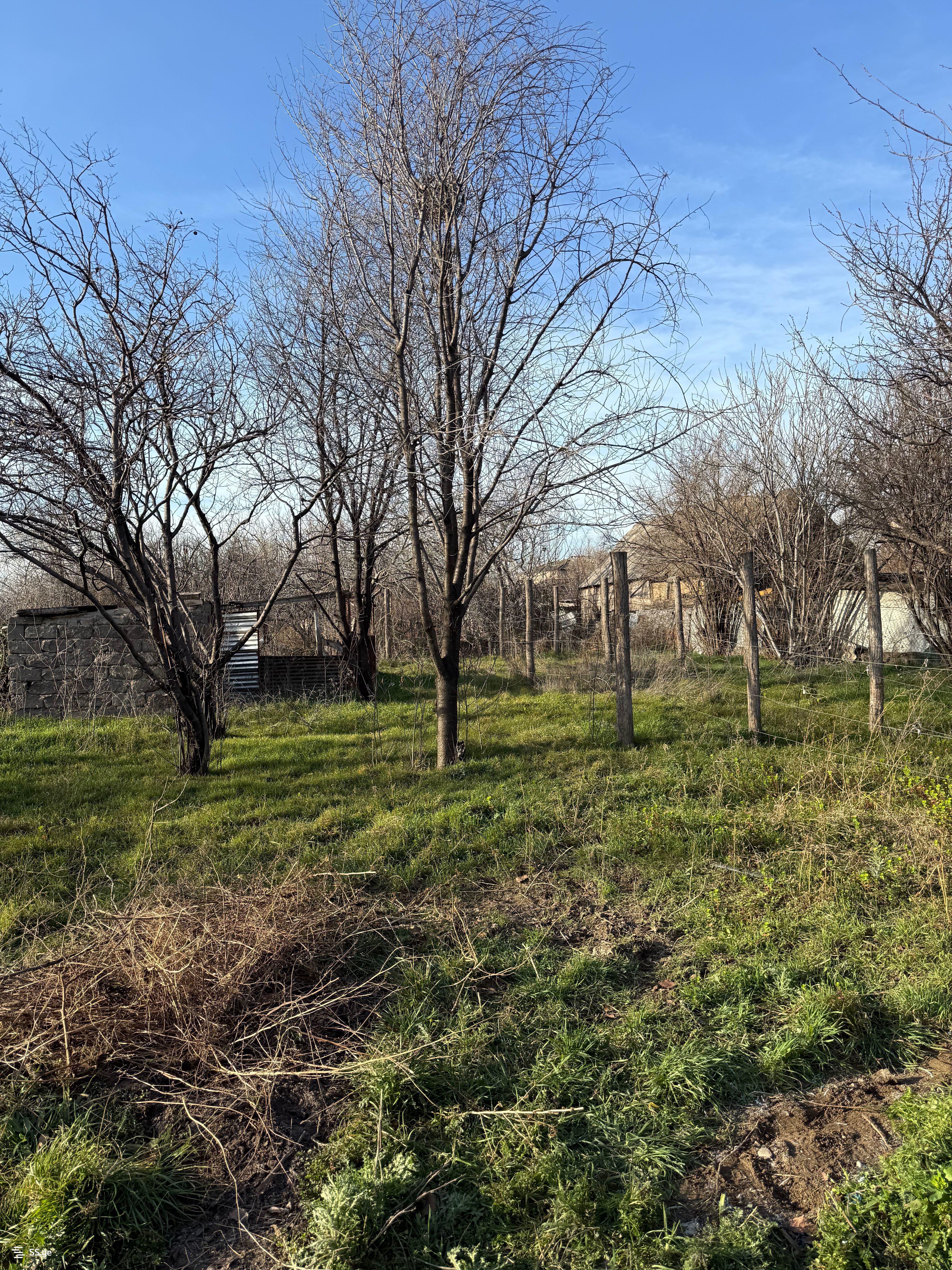 3 Room Private House For Sale view 4
