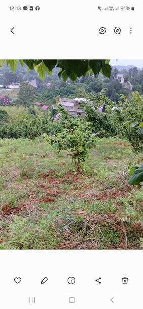 Land For Sale. Gantiadi