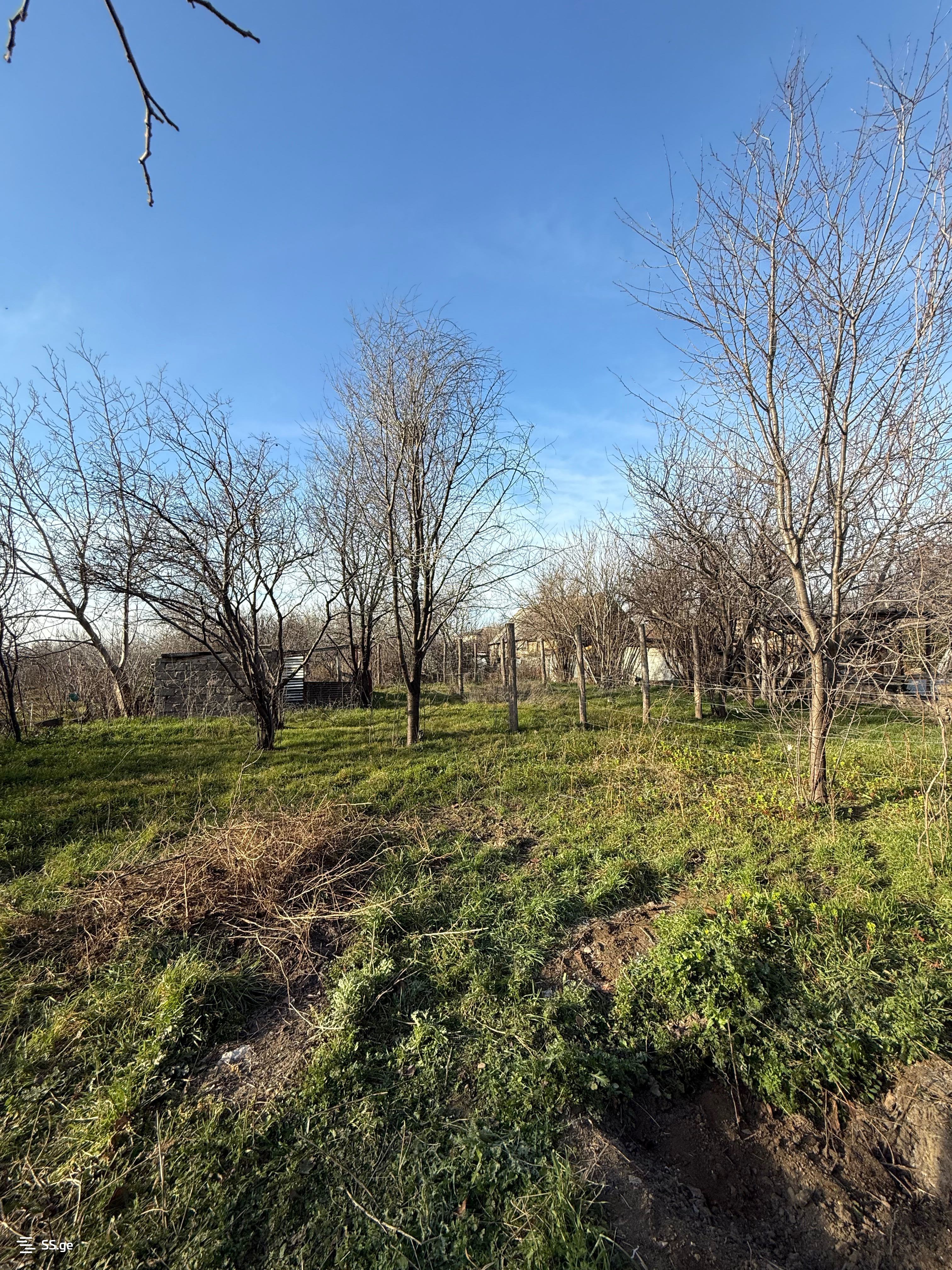 3 Room Private House For Sale view 3
