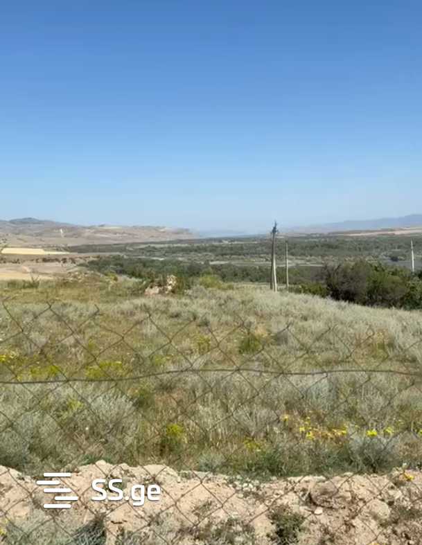 Land For Sale. Gori, 2 of 4