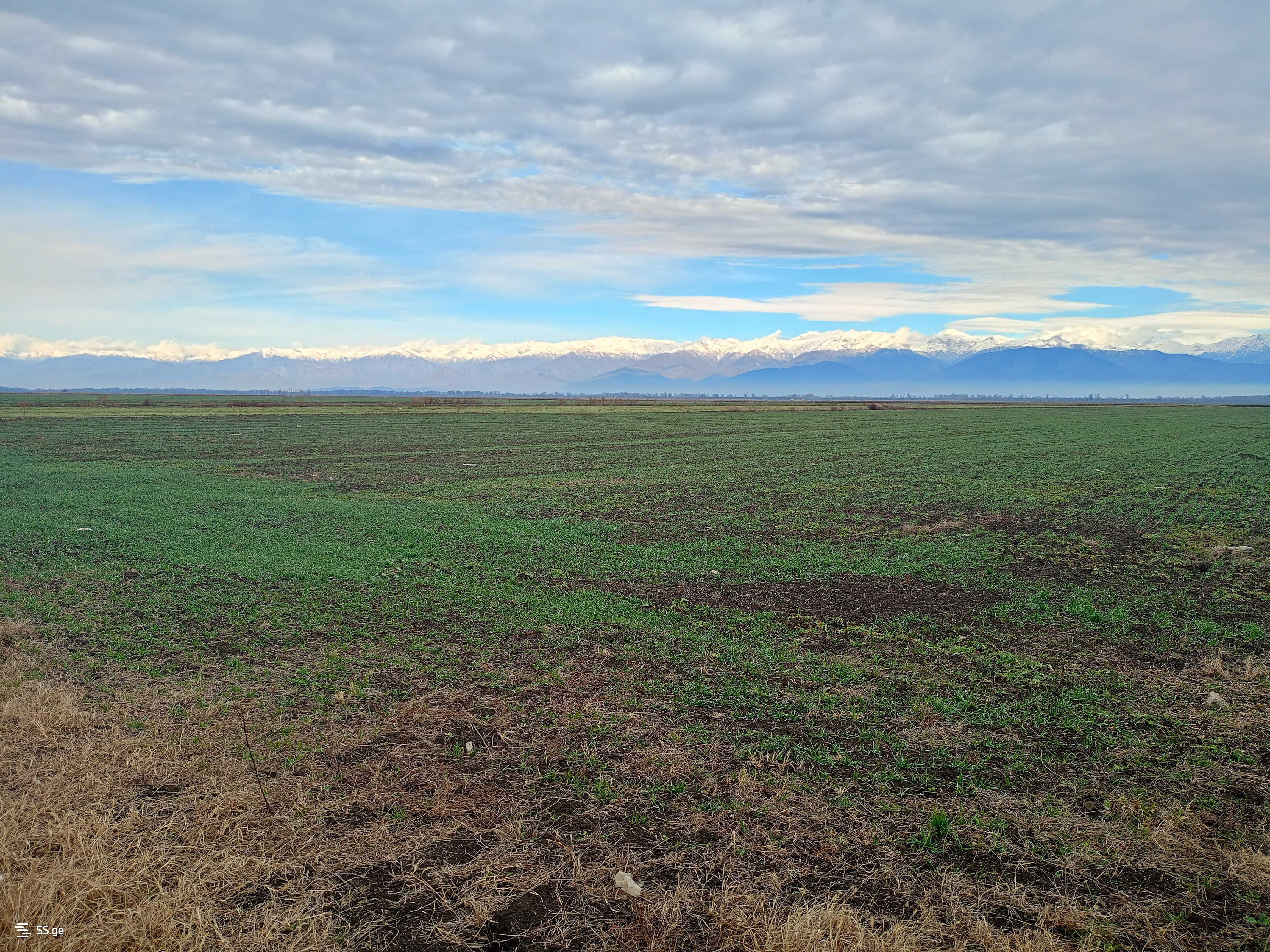 Land For Sale. Signagi view 3