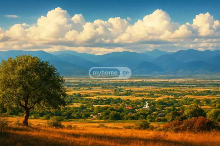 Land For Sale. Ruispiri